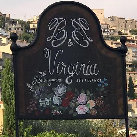 B&B Virginia Monte San Biagio Eksteriør billede